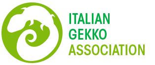 Italian Gekko Association - IGA